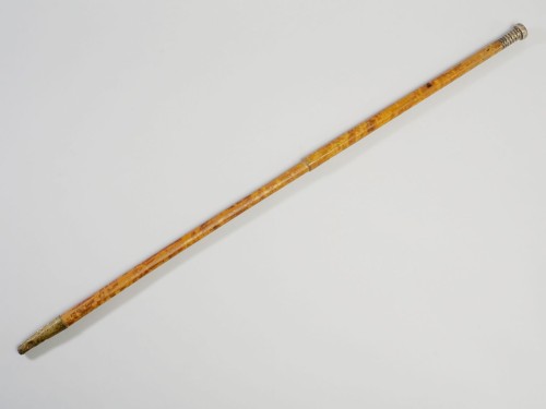 Bamboe wandelstok met boven op de zilveren knop het wapen van Camstra