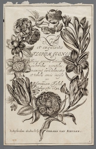 Ornamentprent. Novae et exquisite Florum Icones. Titelblad.