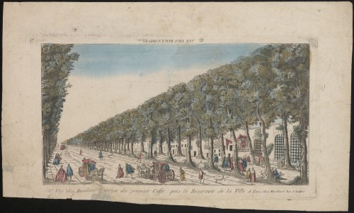 Gezicht op een Parijse boulevard