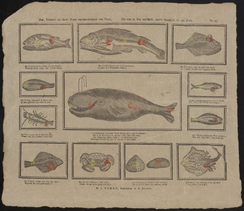 Ziet, Kinders! Op deez' Prent verscheidenheid van Visch (Nº 25)