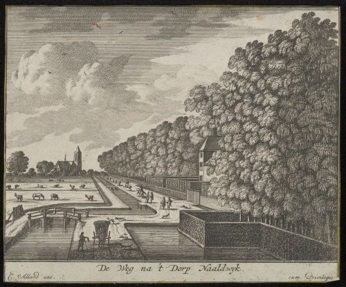 De weg tussen Honselaarsdijk en Naaldwijk