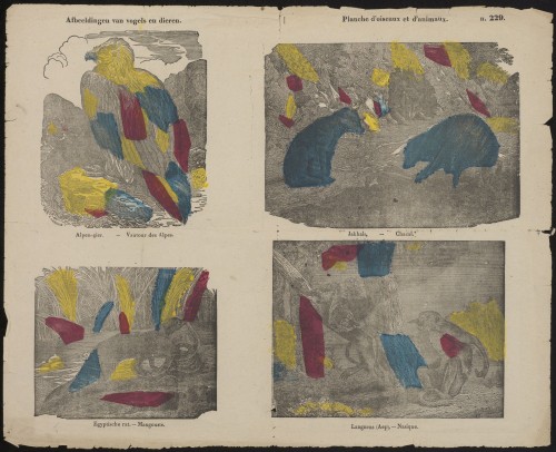 Afbeeldingen van vogels en dieren (Nº 229)