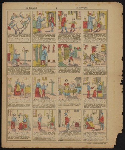 De papegaai. Le perroquet (Nº 9)