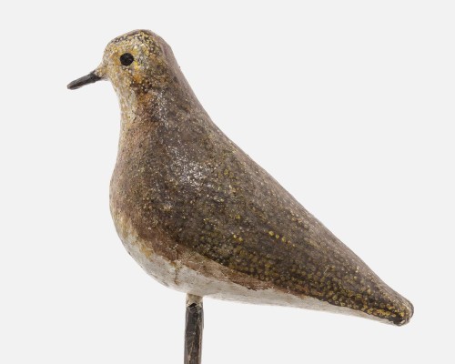 Lokvogel goudplevier