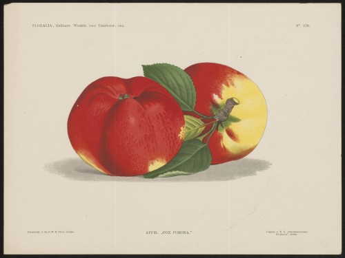 Appels (Nº 280)