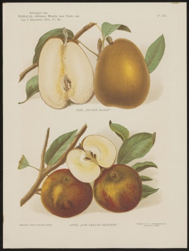 Peren en appels (Nº 231)