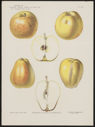 Appels (Nº 206)