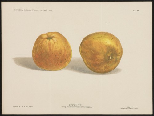 Appels (Nº 109)