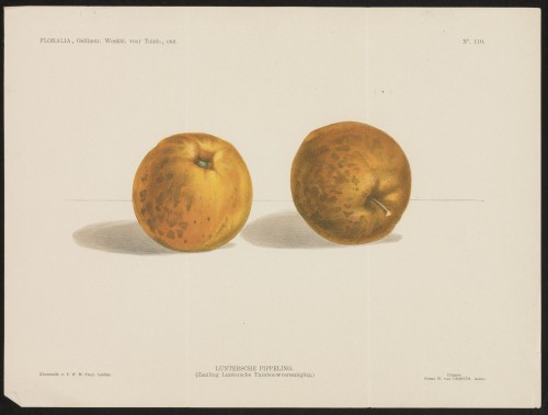 Appels (Nº 110)