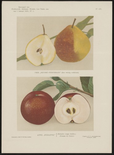 Peren en appels (Nº 235)
