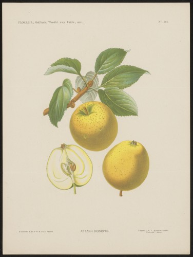 Appels (Nº 144)