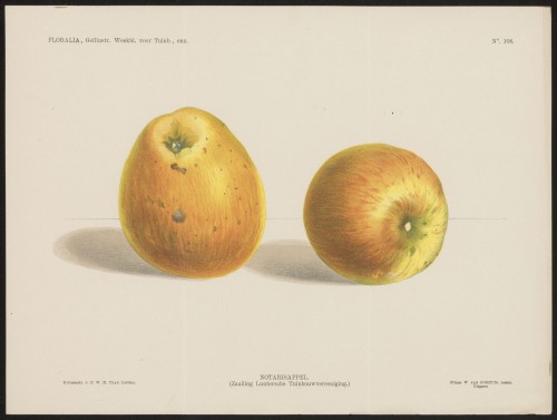 Appels (Nº 108)