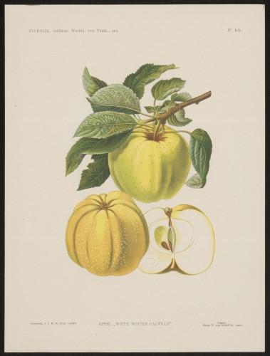 Appels (Nº 101)