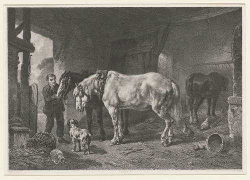 Paarden in de stal
