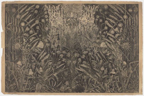 Veldbloemen