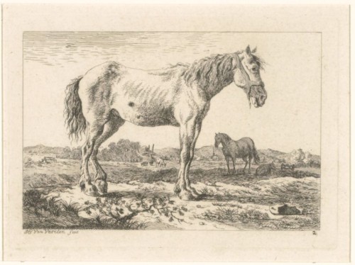 Staande paarden in een landschap