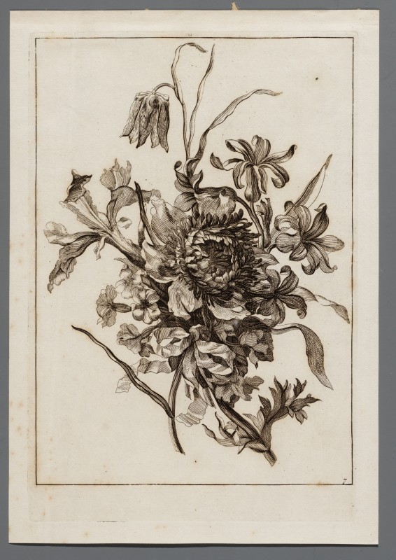 Ornamentprent. Omnigeneris Exquisitae Florum Icones (...). Seconda Pars / Fleurs d'apres nature.