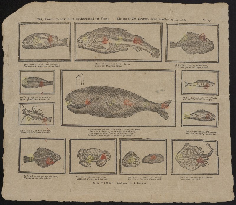 Ziet, Kinders! Op deez' Prent verscheidenheid van Visch (Nº 25)
