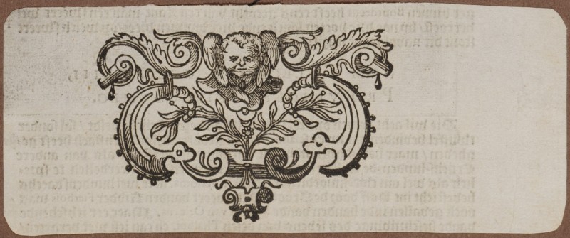 Ornamentprent. Vignet.
