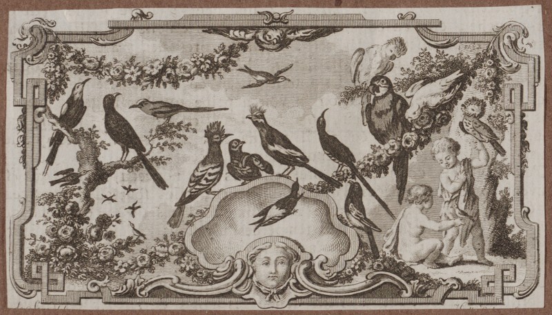 Ornamentprenten. Paneel met putti en vogels. Boekillustratie.