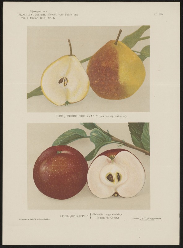 Peren en appels (Nº 235)