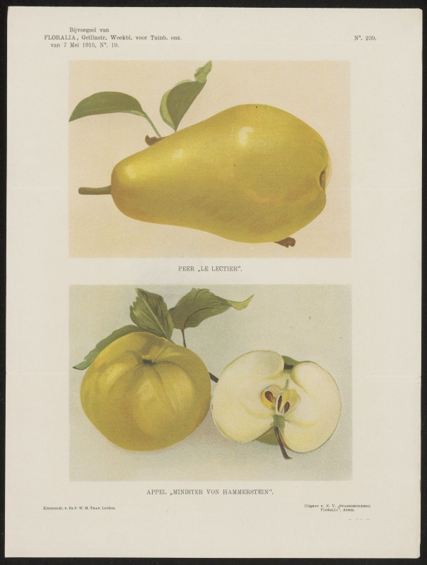 Peer en appels (Nº 239)