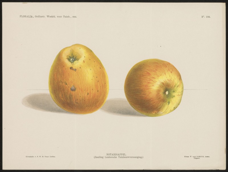 Appels (Nº 108)