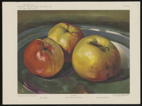 Appels (Nº 255)