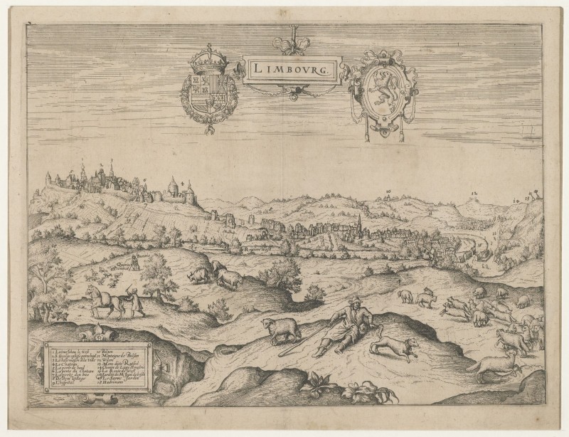 Landschap met de Belgische stad Limburg op de achtergrond