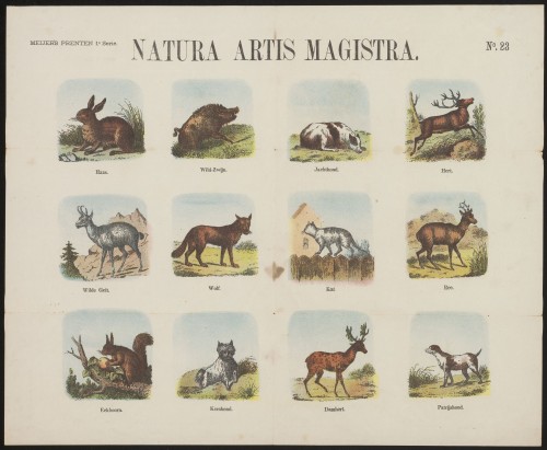 Natura artis magistra (Nº 23)