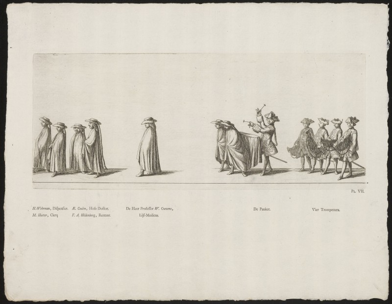 De hofhouding in de begrafenisstoet van prinses Maria Louise, 1765 (Pl. VII)