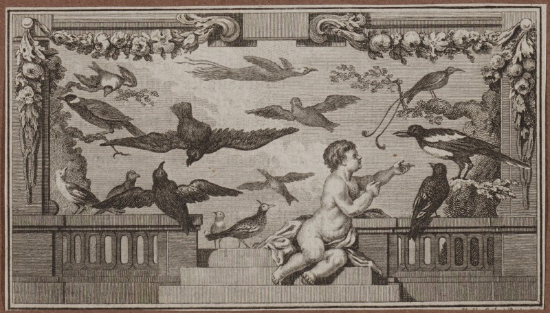 Ornamentprenten. Paneel met putto en vogels. Boekillustratie.